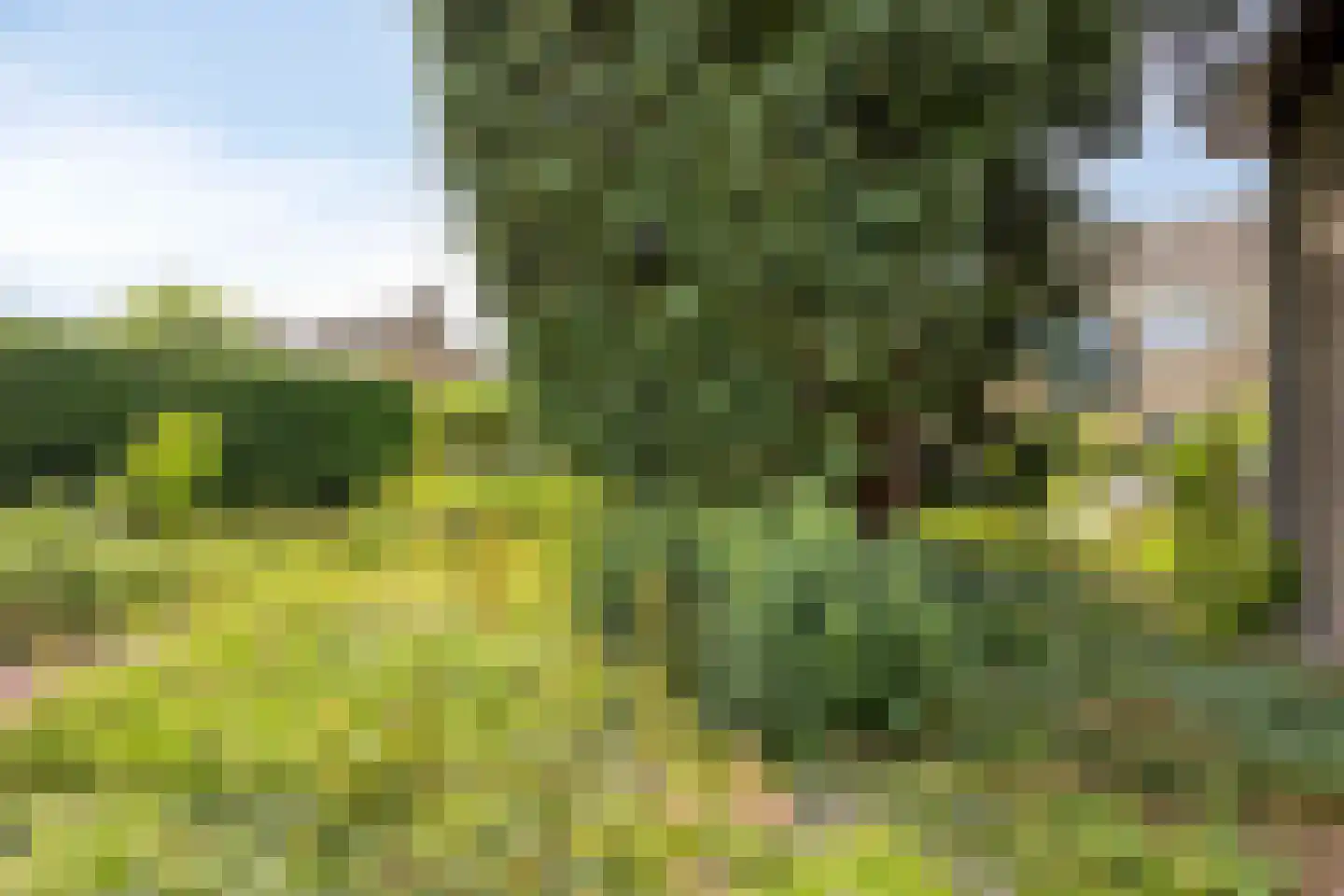 Kloosterweg 11 Harmelen thumbnail 20