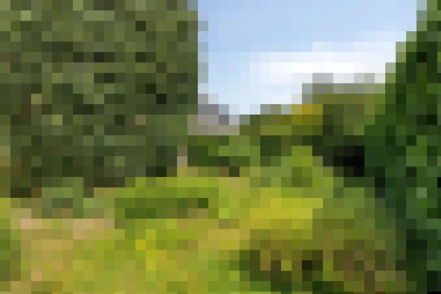 Kloosterweg 11 Harmelen thumbnail 21