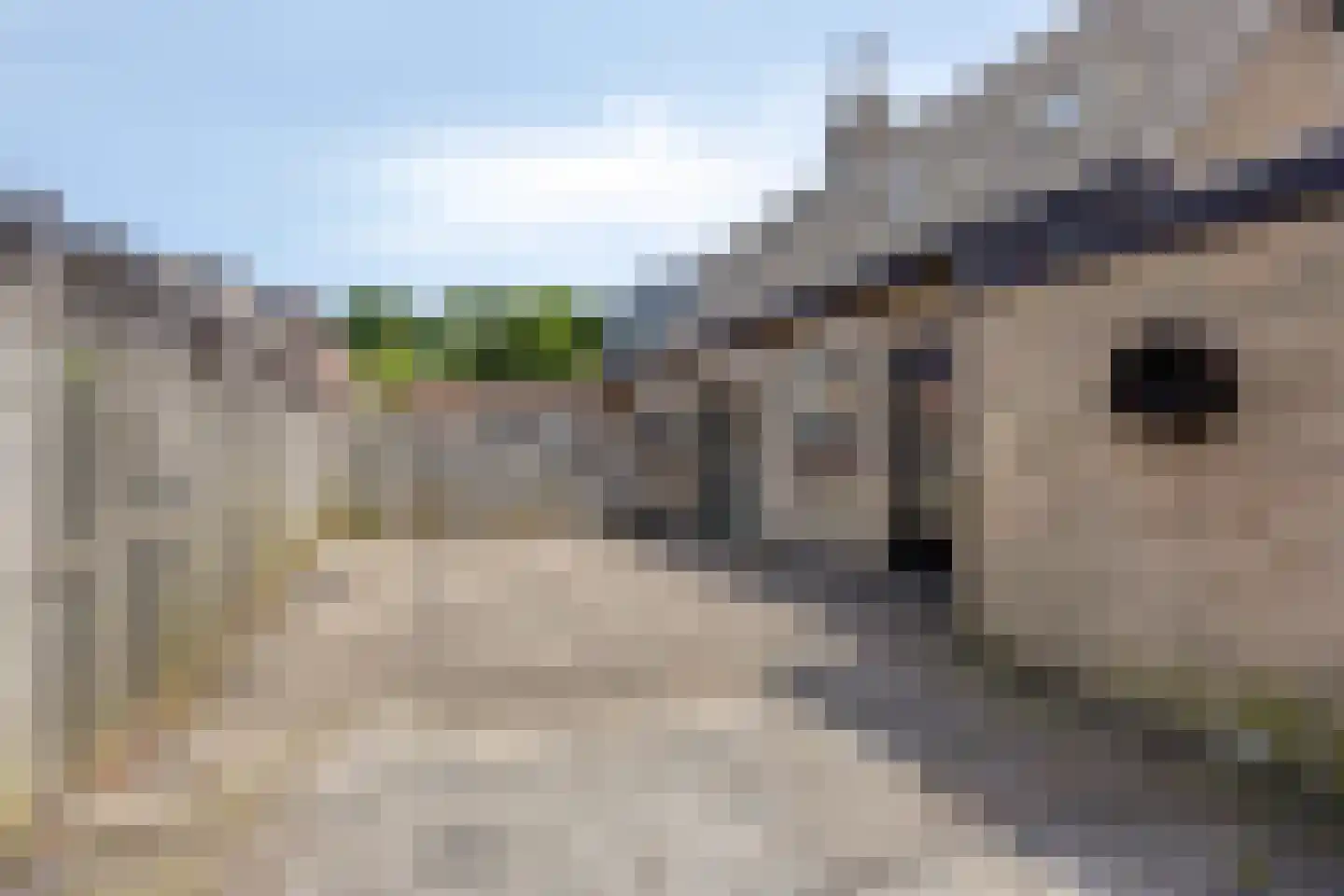 Kloosterweg 11 Harmelen thumbnail 22