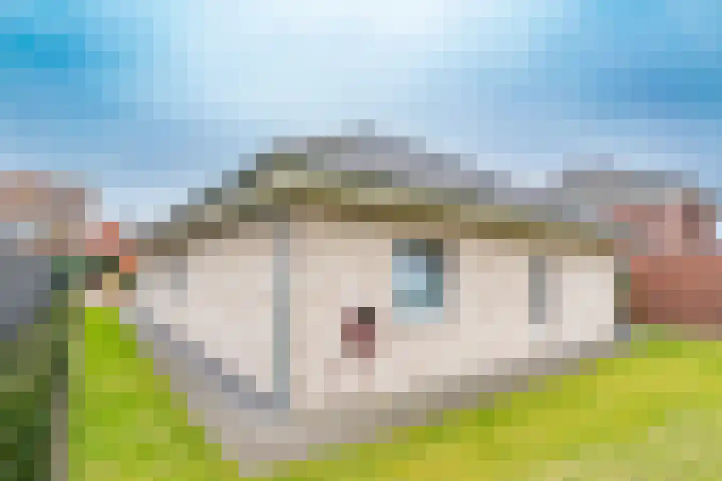 Kloosterweg 13 Emmer-Compascuum thumbnail 30
