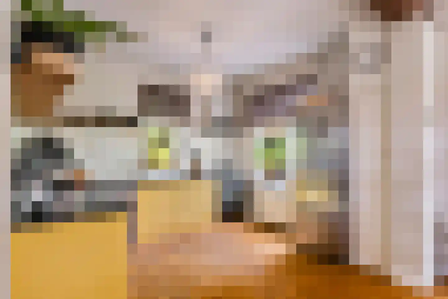 Kloosterweg 13 Gorssel thumbnail 17