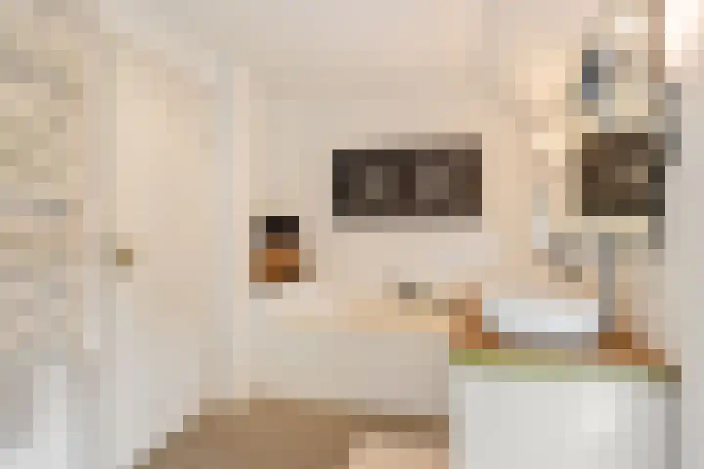 Kloosterweg 13 Gorssel thumbnail 31