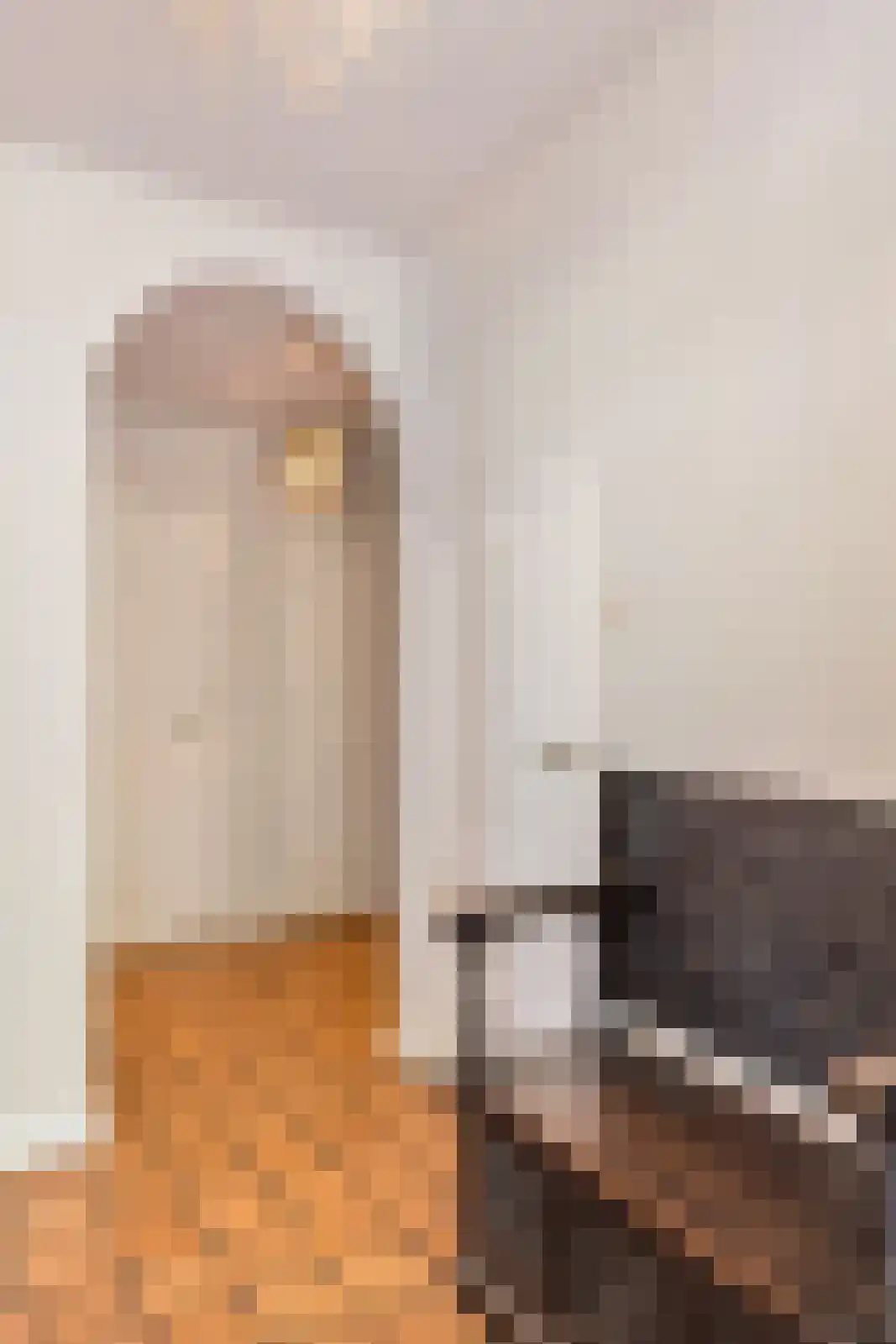 Kloosterweg 13 Gorssel thumbnail 33