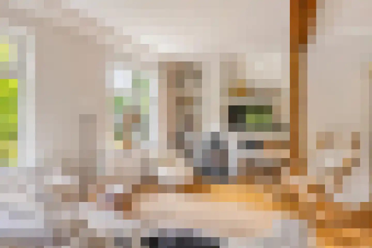 Kloosterweg 13 Gorssel thumbnail 4