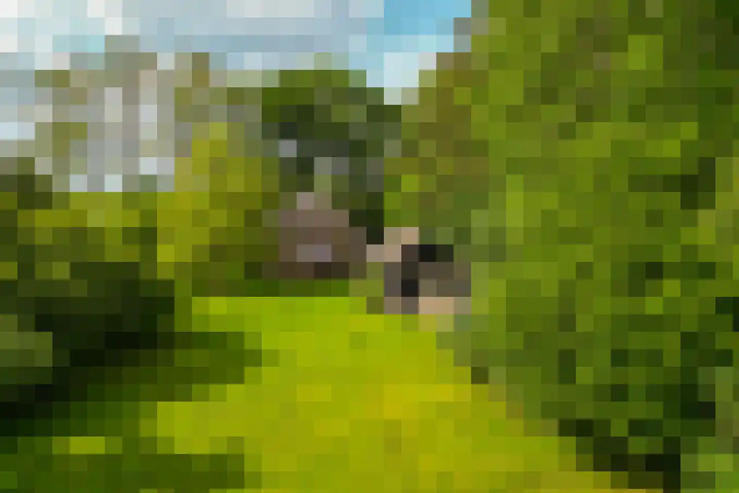 Kloosterweg 13 Gorssel thumbnail 52