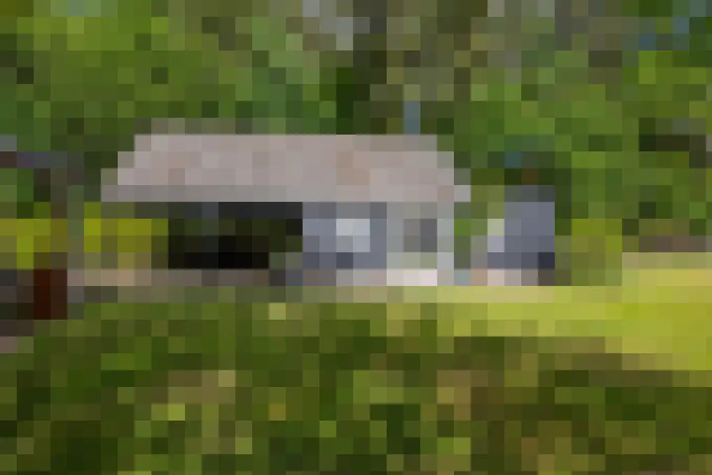 Kloosterweg 13 Gorssel thumbnail 54