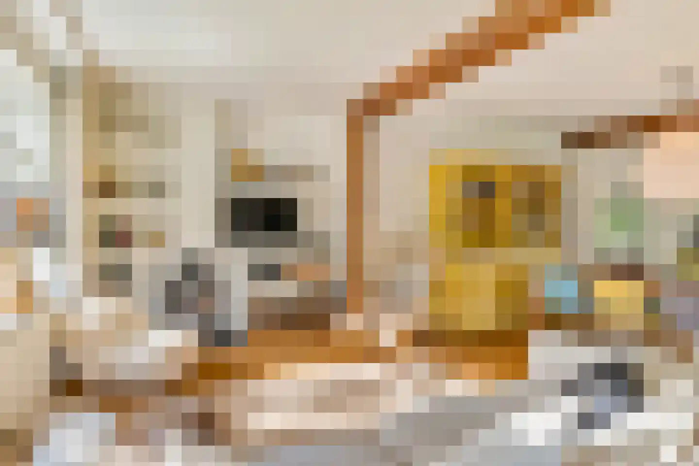 Kloosterweg 13 Gorssel thumbnail 6