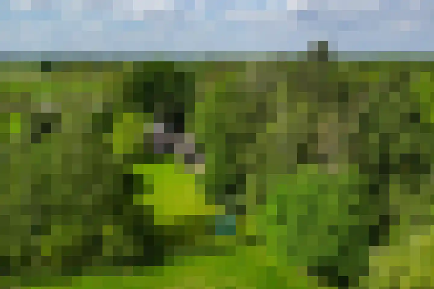 Kloosterweg 13 Gorssel thumbnail 63