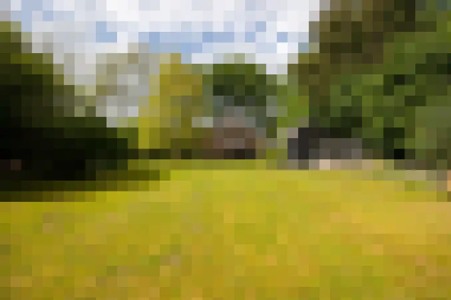 Kloosterweg 13 Gorssel thumbnail 65