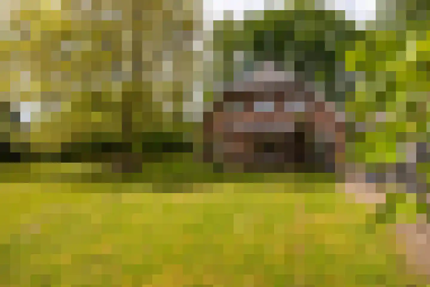 Kloosterweg 13 Gorssel thumbnail 66