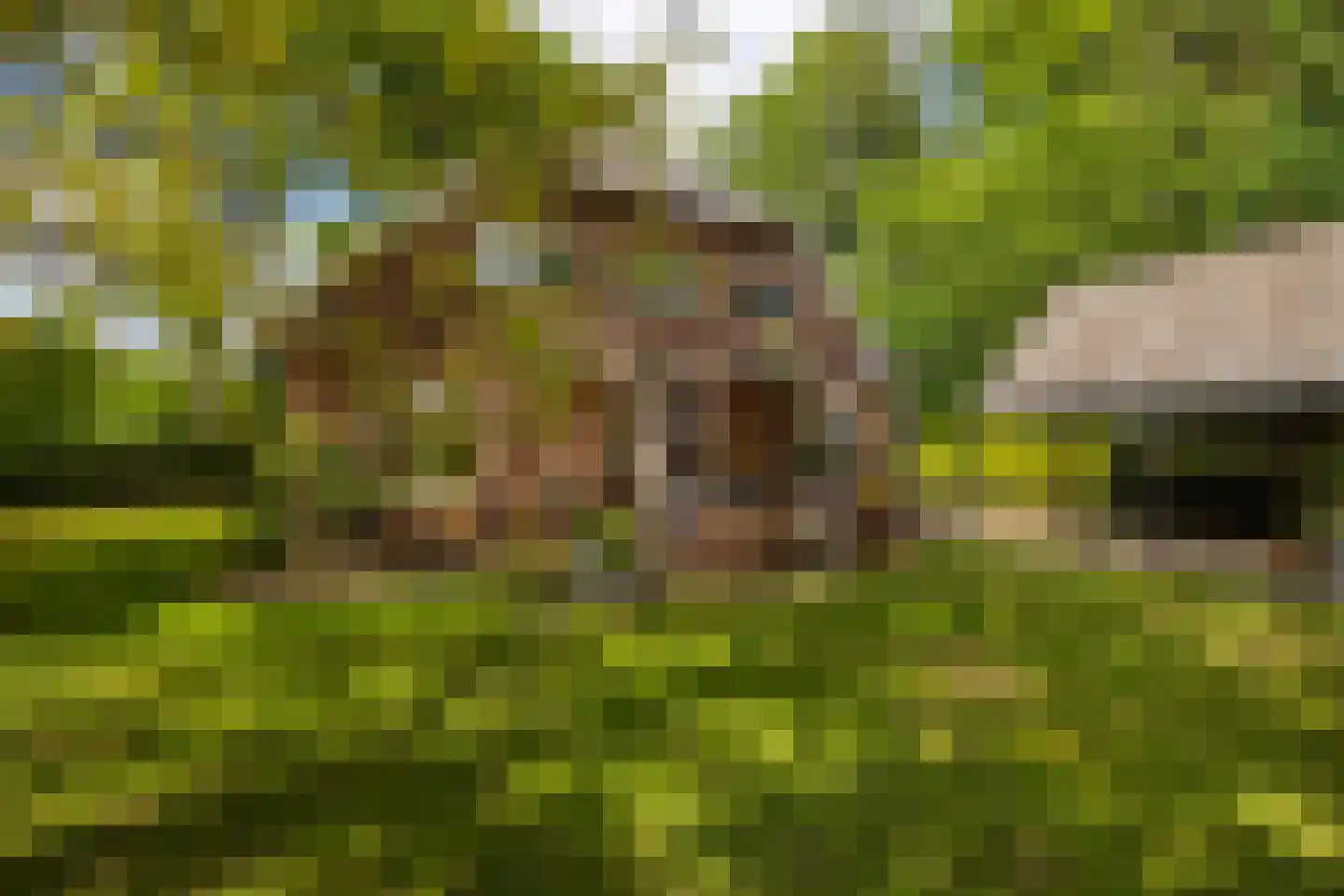 Kloosterweg 13 Gorssel thumbnail 67