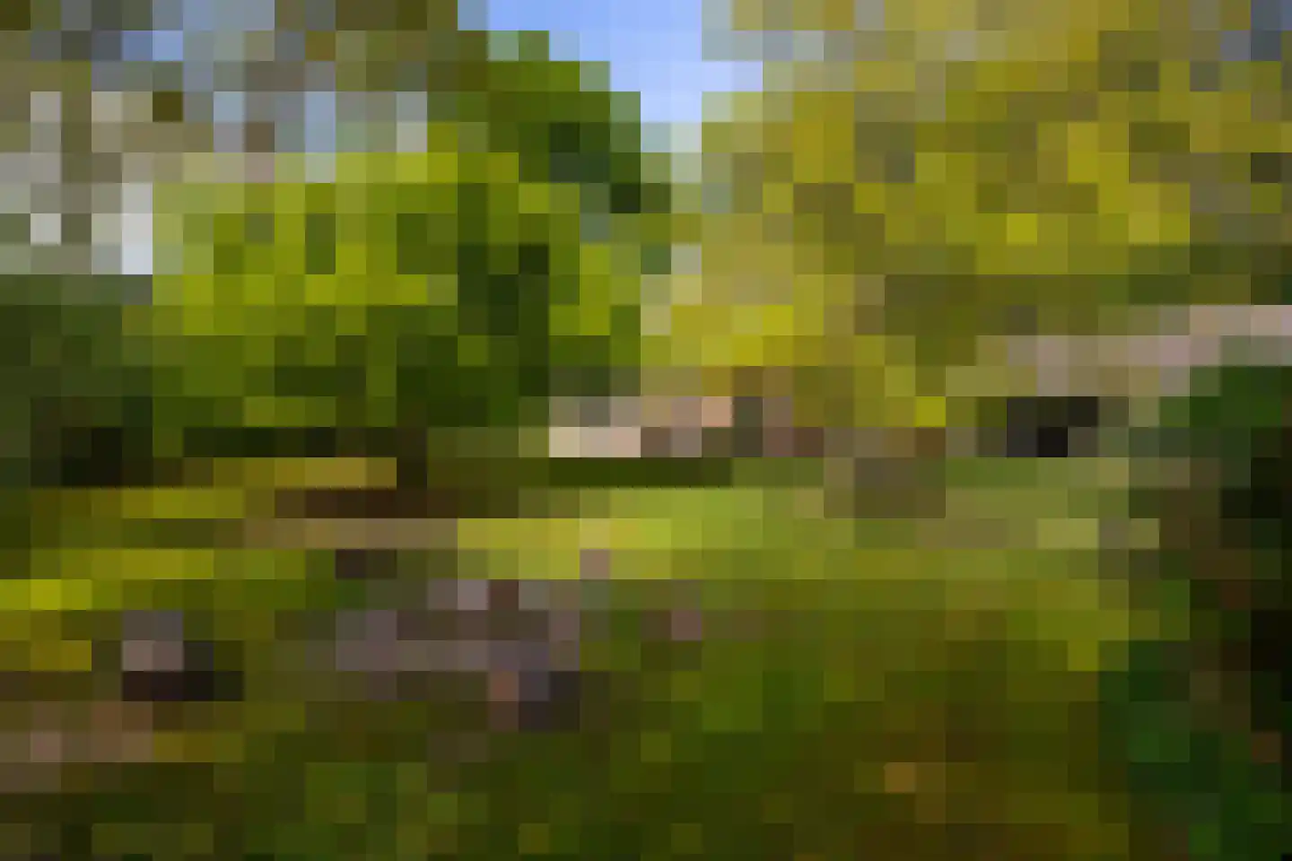 Kloosterweg 13 Gorssel thumbnail 70