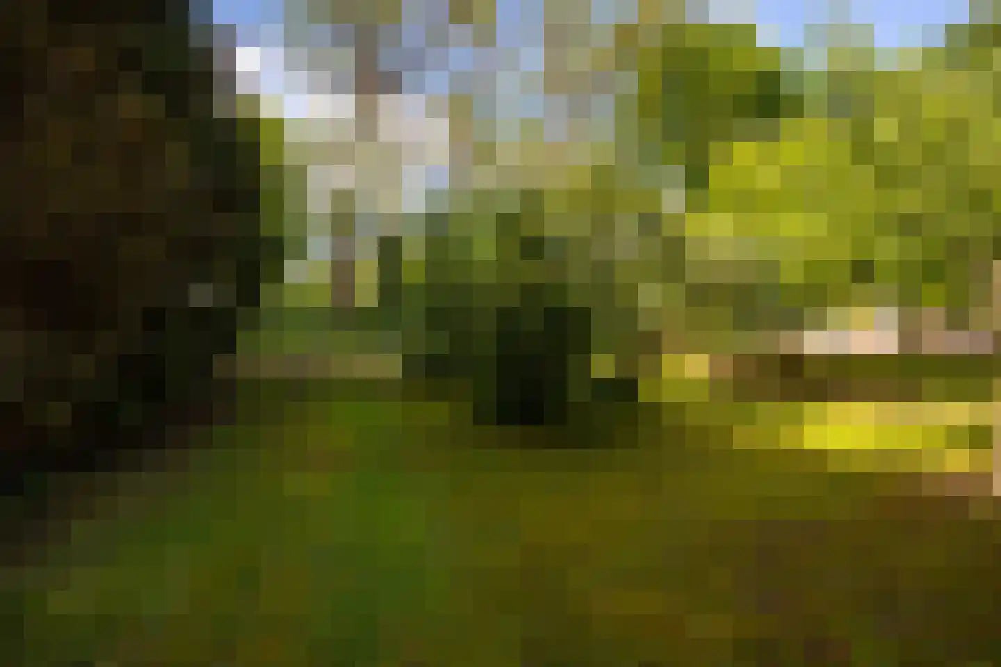 Kloosterweg 13 Gorssel thumbnail 71