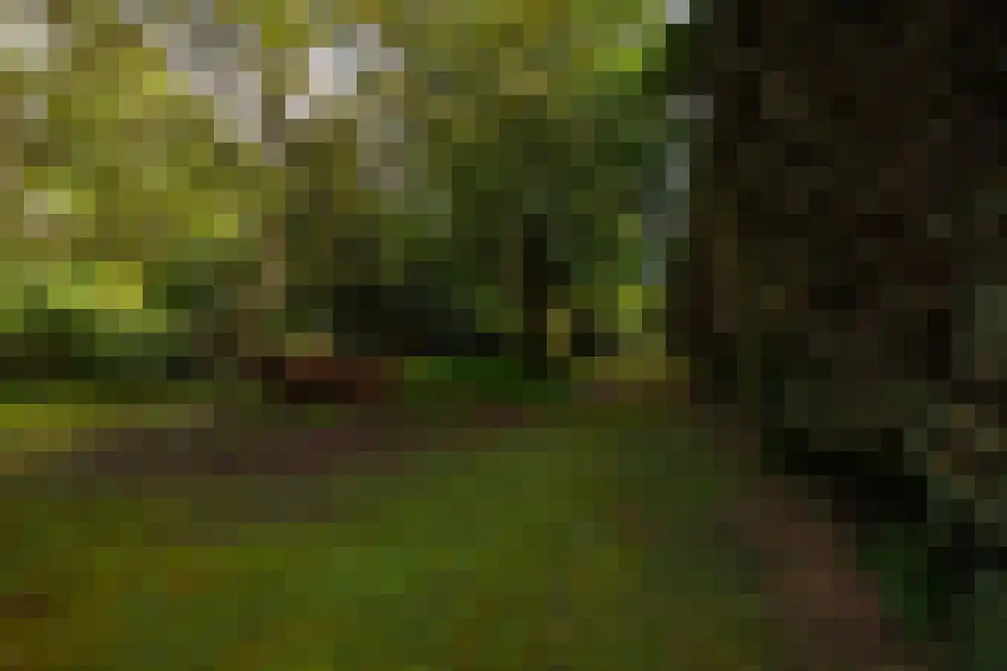 Kloosterweg 13 Gorssel thumbnail 72