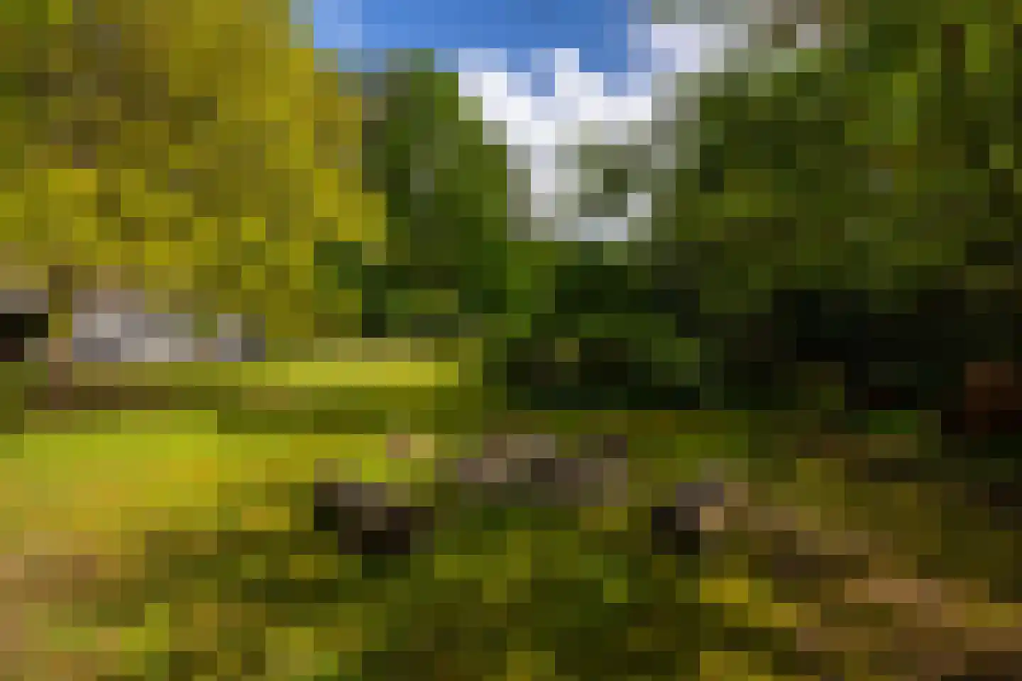 Kloosterweg 13 Gorssel thumbnail 73
