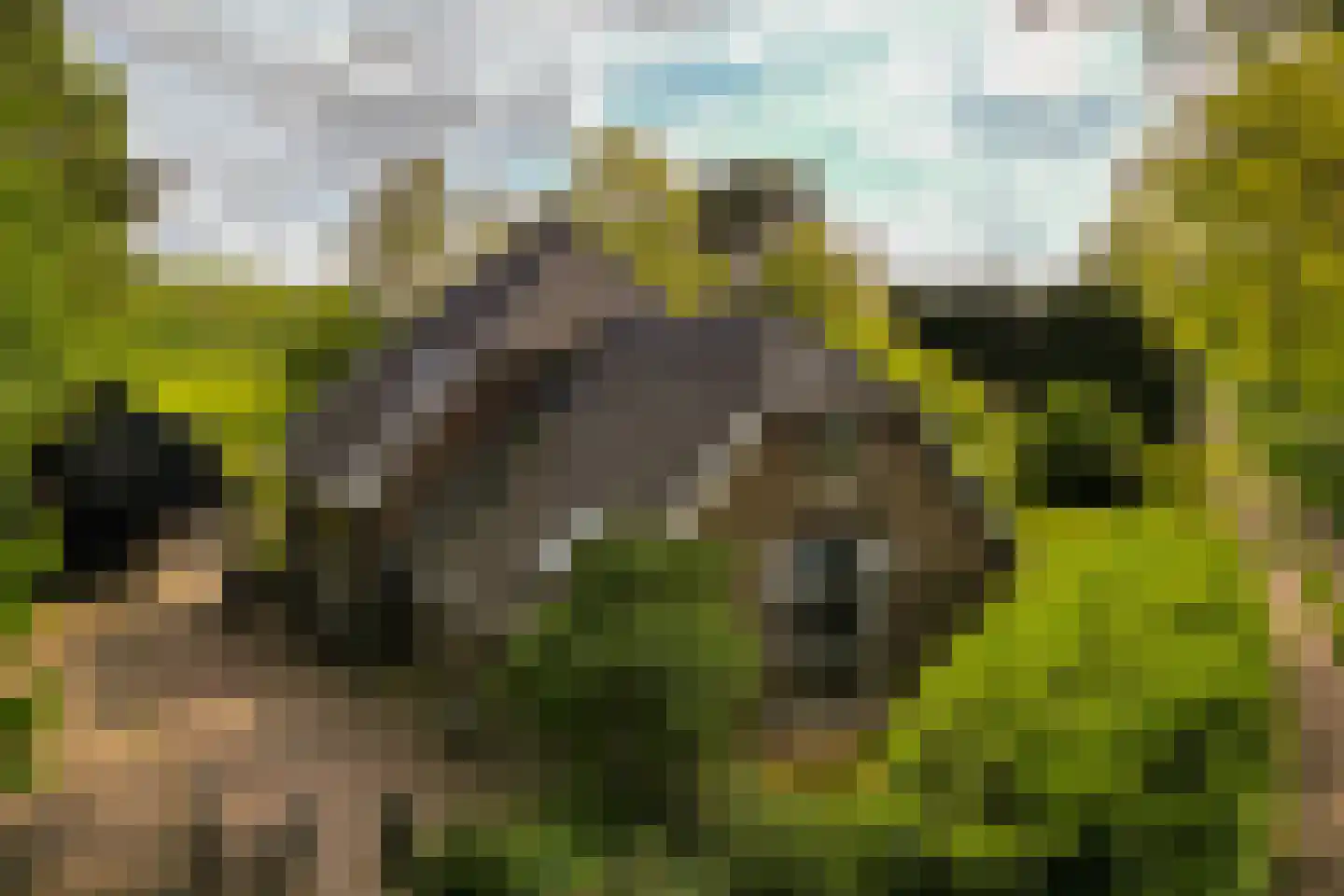 Kloosterweg 13 Gorssel thumbnail 74