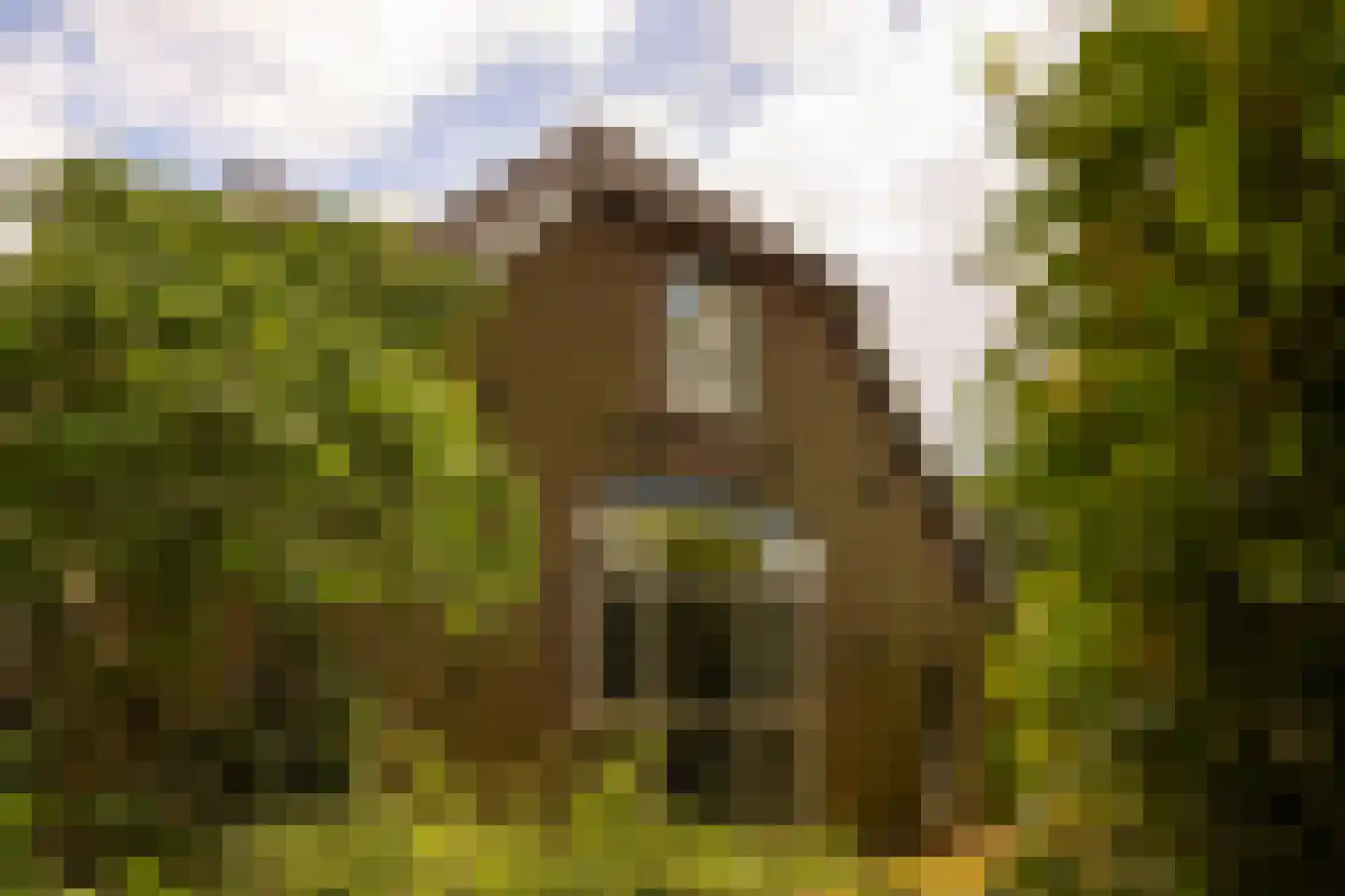Kloosterweg 13 Gorssel thumbnail 75