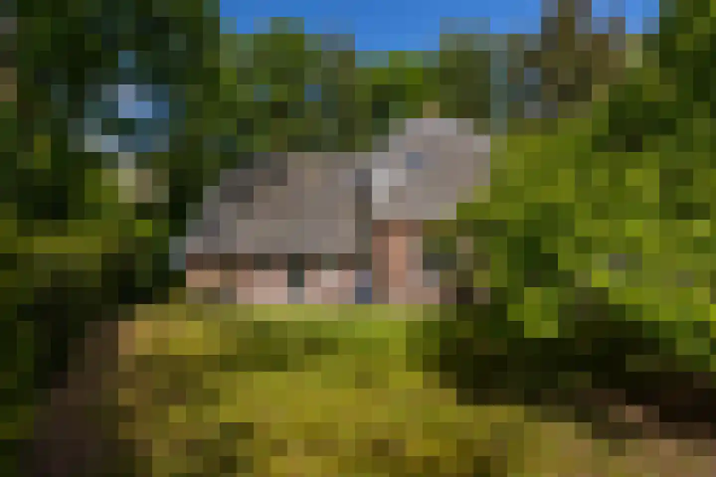 Kloosterweg 13 Gorssel thumbnail 77