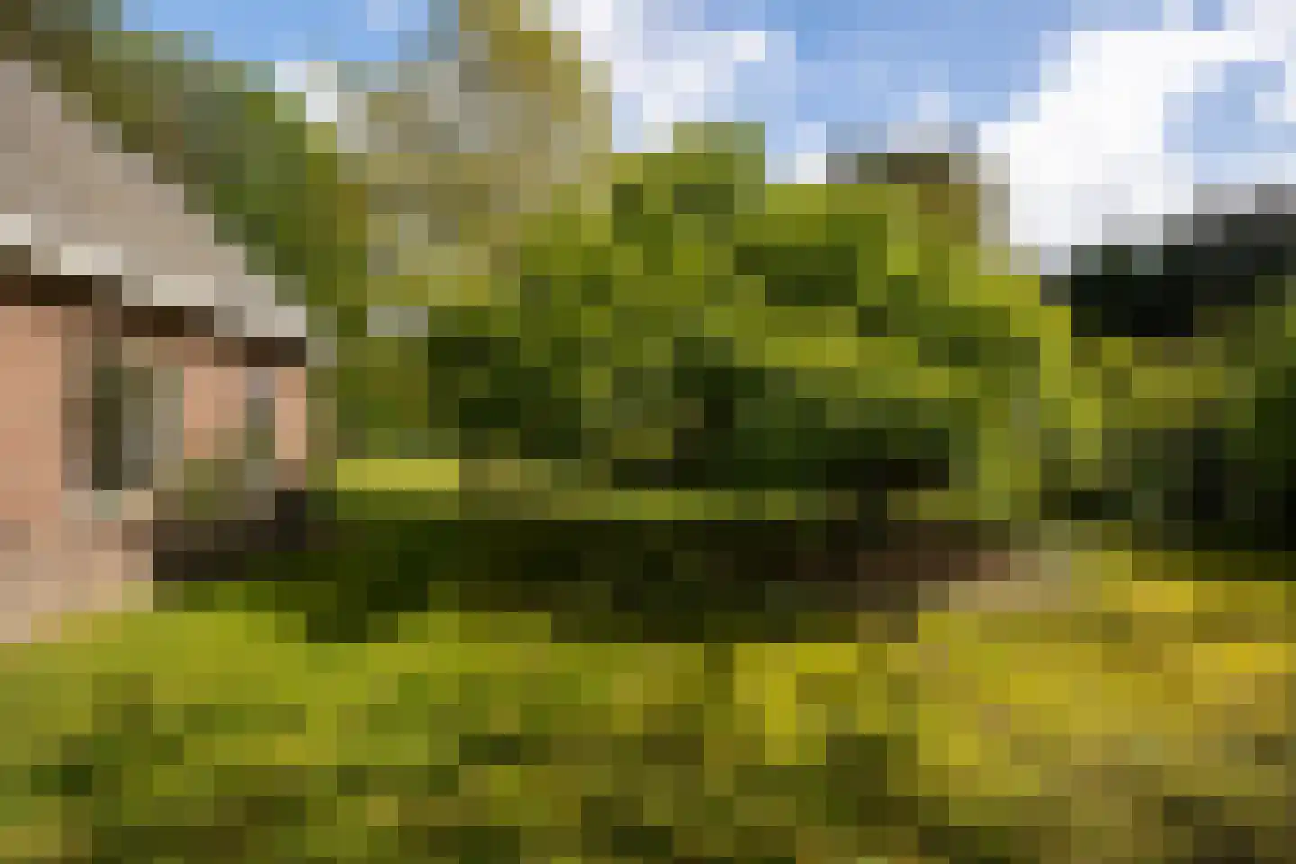 Kloosterweg 13 Gorssel thumbnail 78