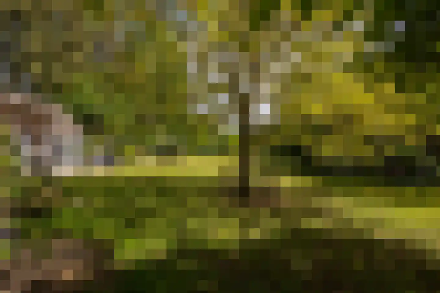 Kloosterweg 13 Gorssel thumbnail 79
