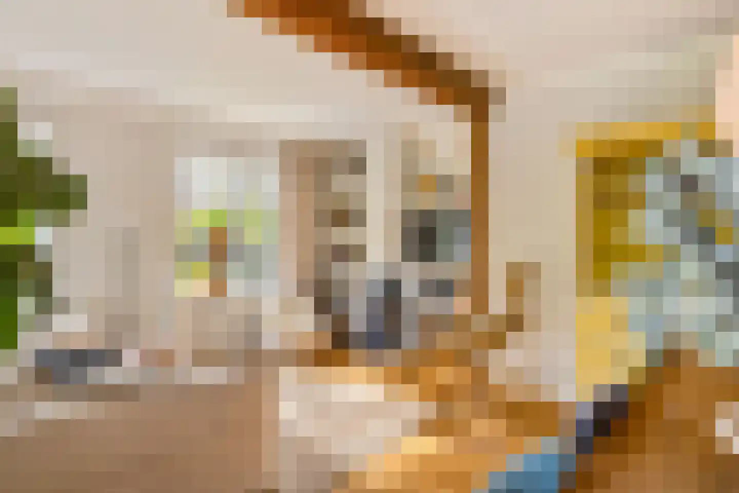Kloosterweg 13 Gorssel thumbnail 8