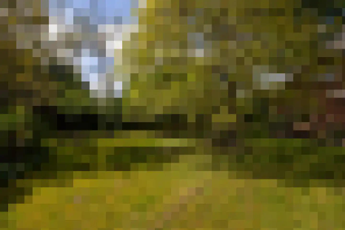 Kloosterweg 13 Gorssel thumbnail 82