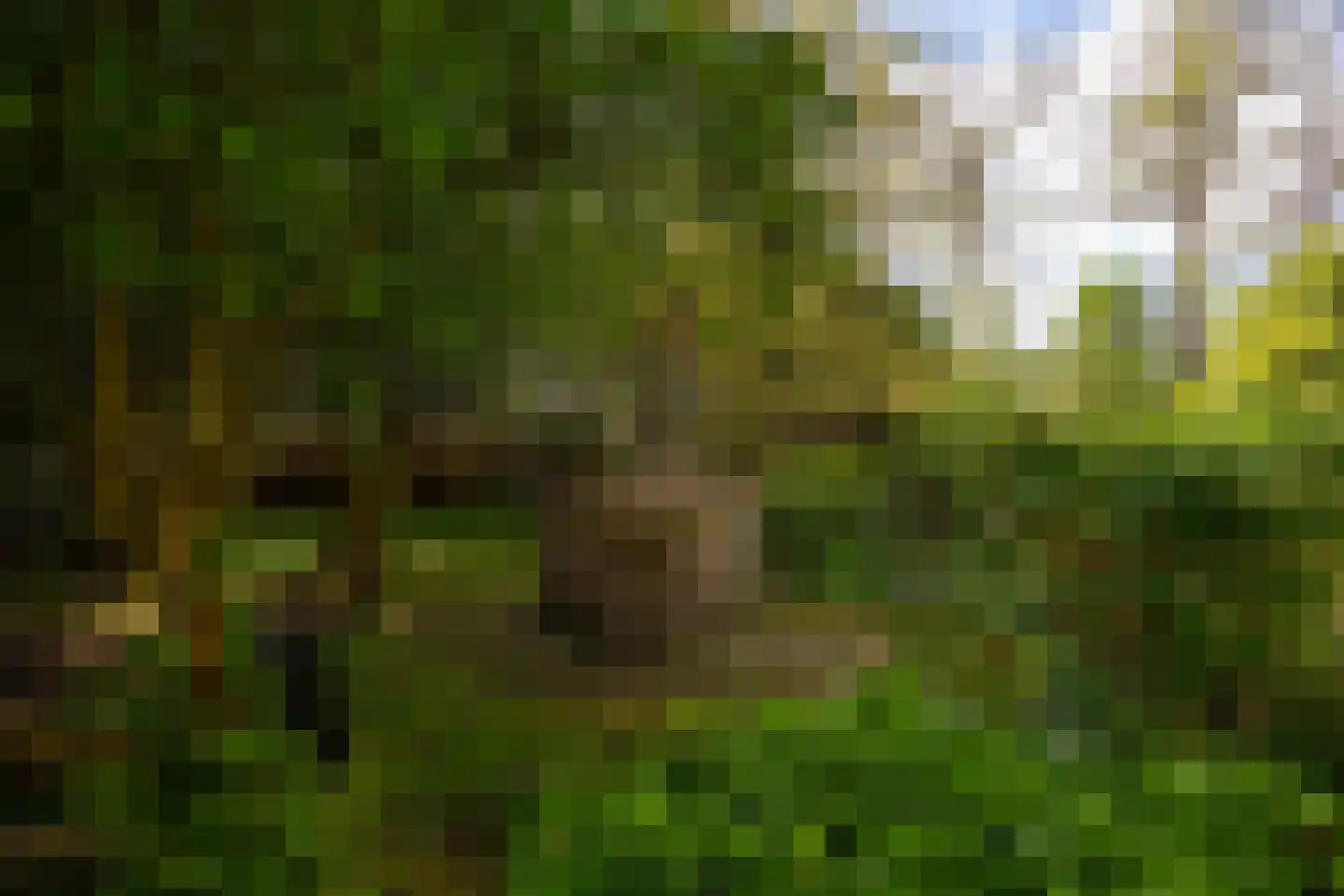 Kloosterweg 13 Gorssel thumbnail 83