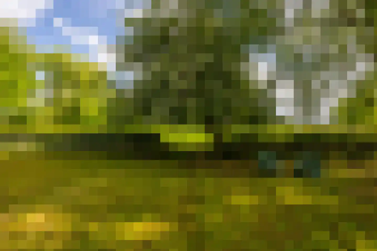 Kloosterweg 13 Gorssel thumbnail 84
