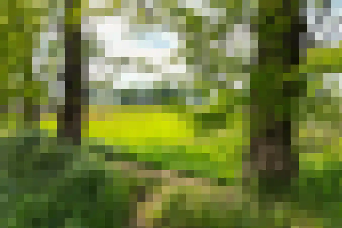Kloosterweg 13 Gorssel thumbnail 86
