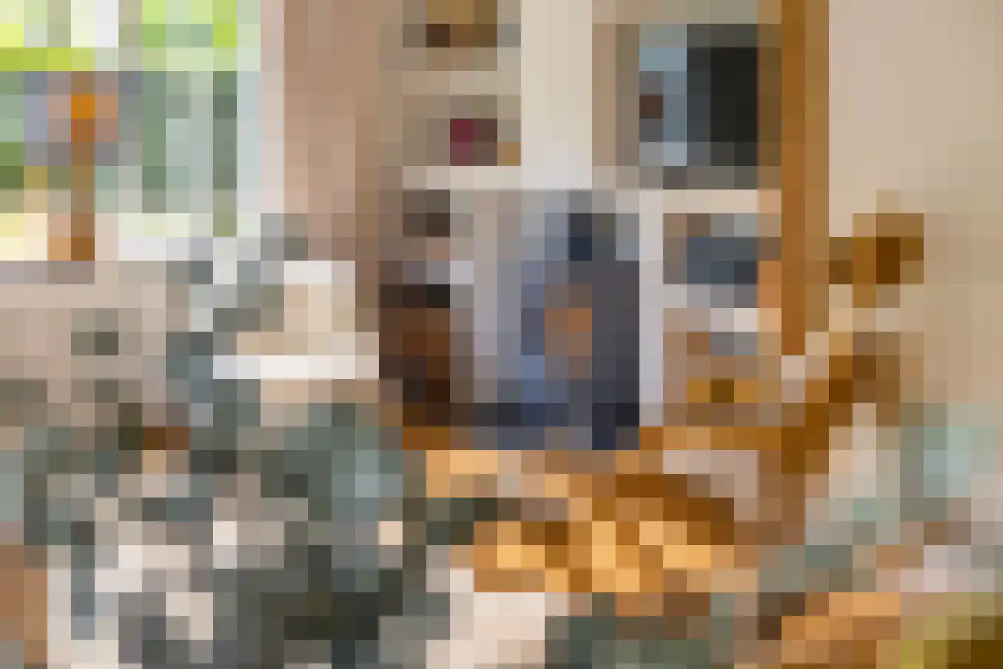 Kloosterweg 13 Gorssel thumbnail 9