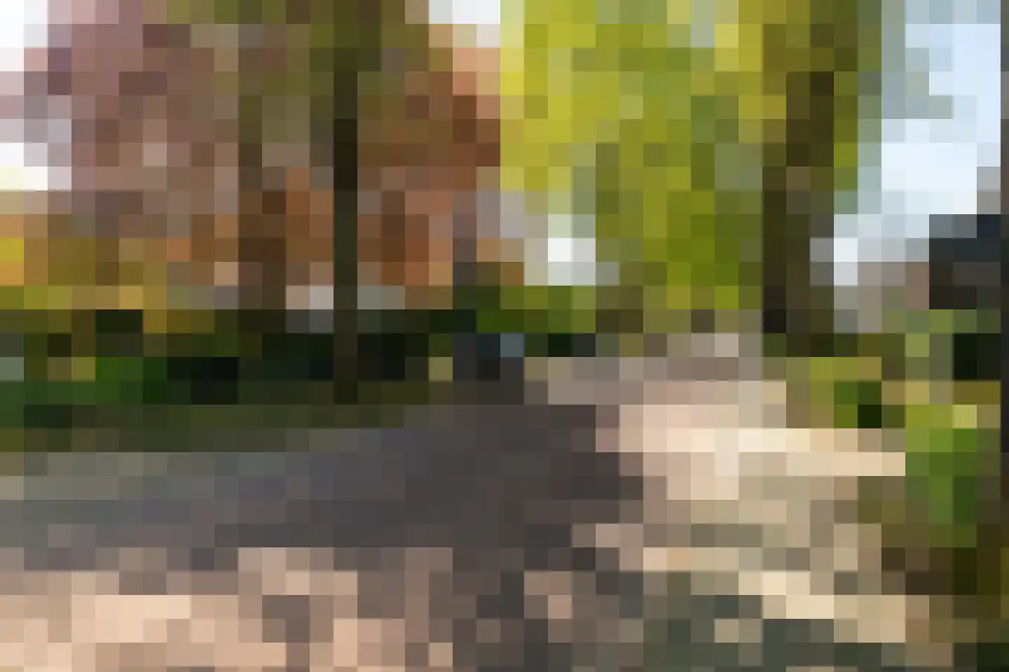 Kloosterweg 15 Waalwijk thumbnail 4