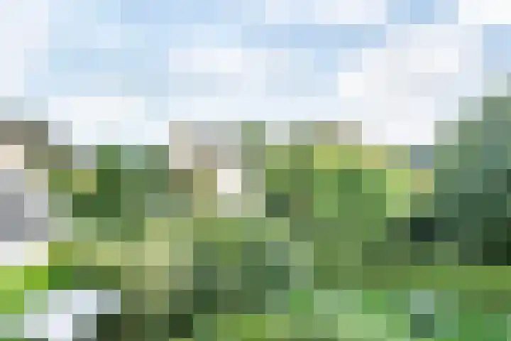 Kloosterweg 16 Valkenburg thumbnail 13