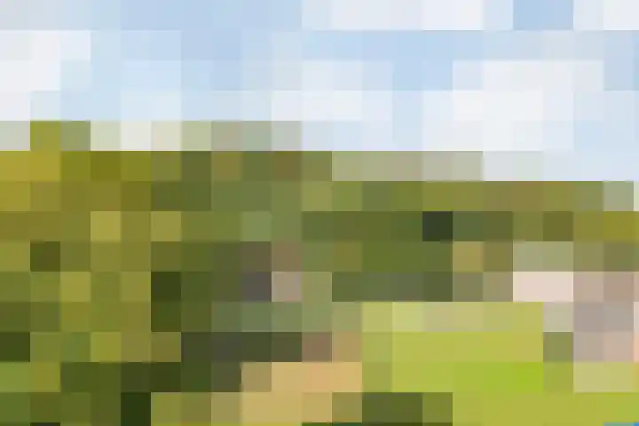 Kloosterweg 16 Valkenburg thumbnail 25