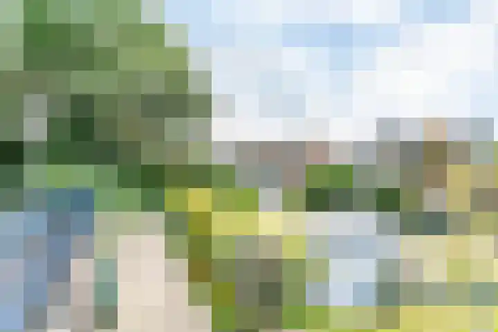 Kloosterweg 16 Valkenburg thumbnail 29