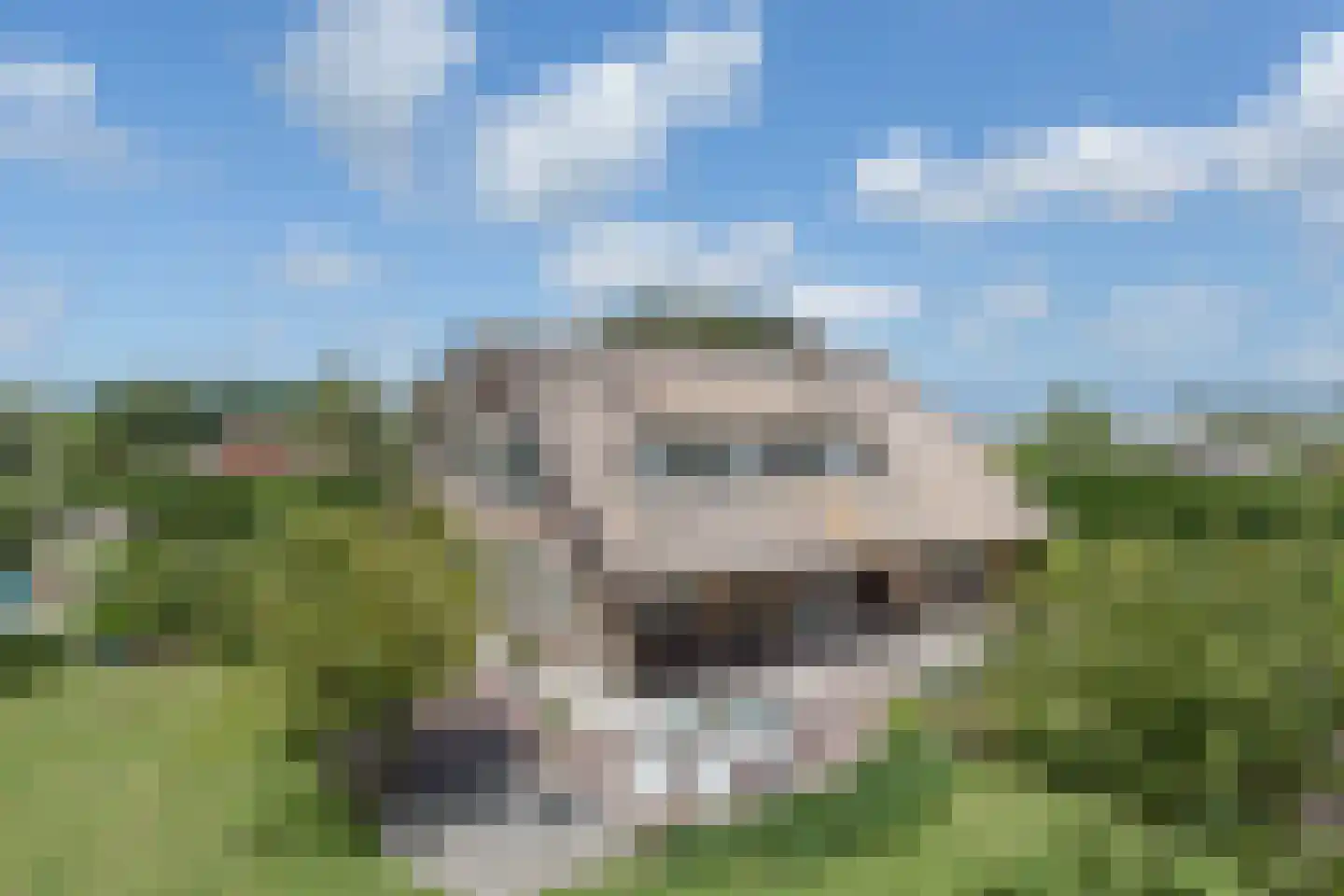 Kloosterweg 17 Brielle thumbnail 6