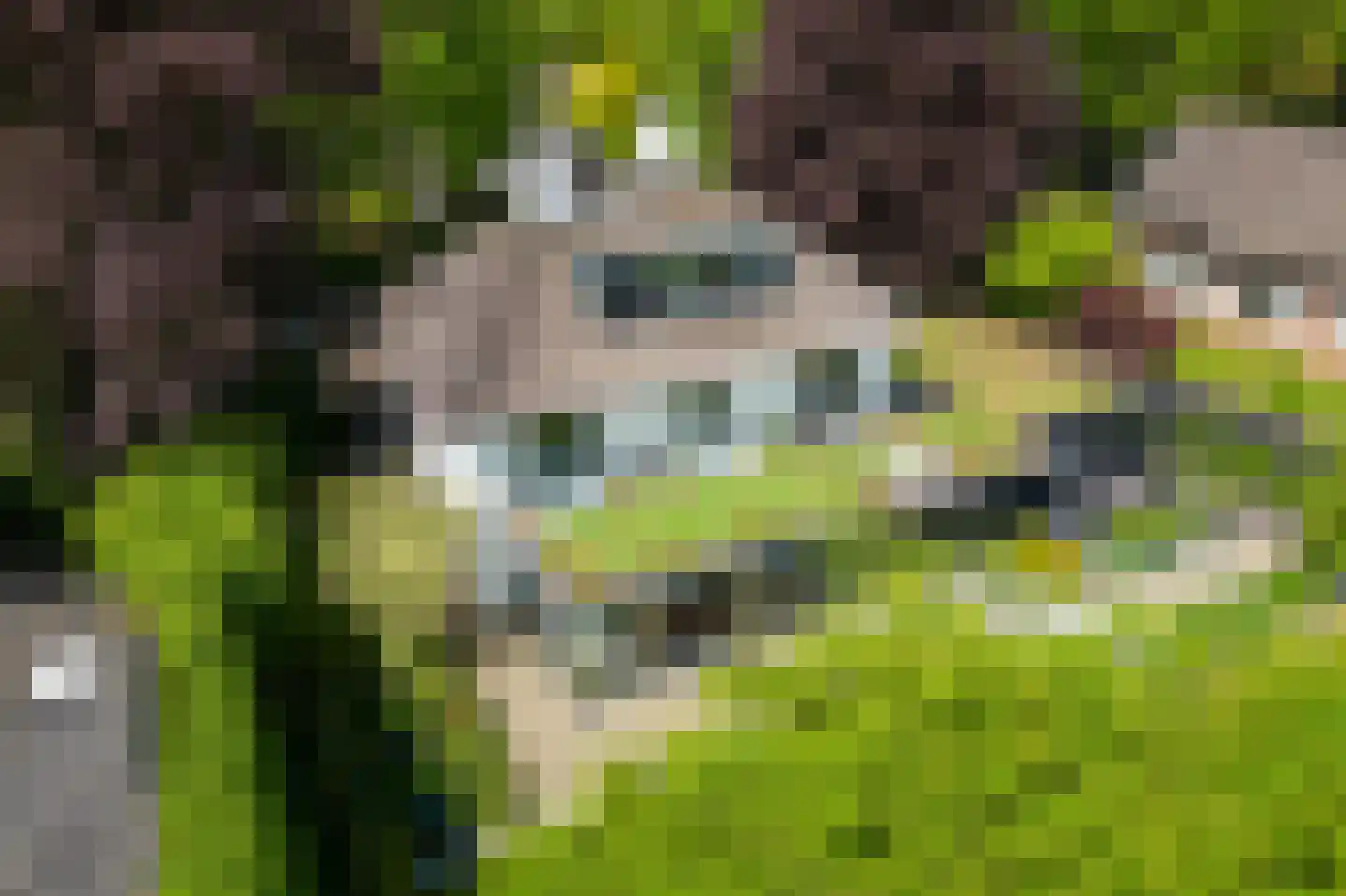 Kloosterweg 17 Waalwijk foto 2
