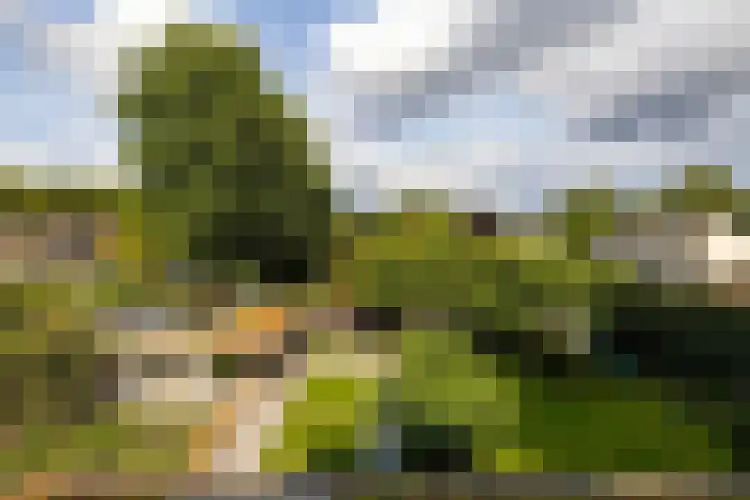 Kloosterweg 17 Waalwijk thumbnail 63