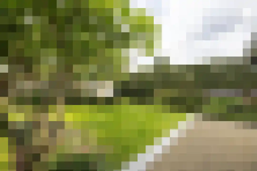 Kloosterweg 17 Waalwijk thumbnail 64