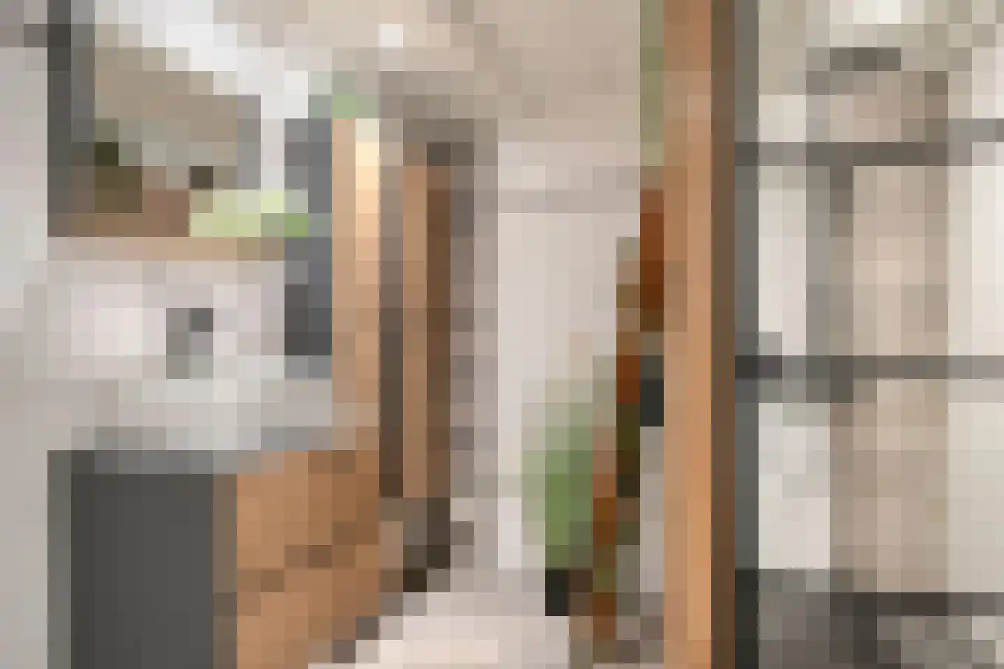 Kloosterweg 19 Noordgouwe thumbnail 18
