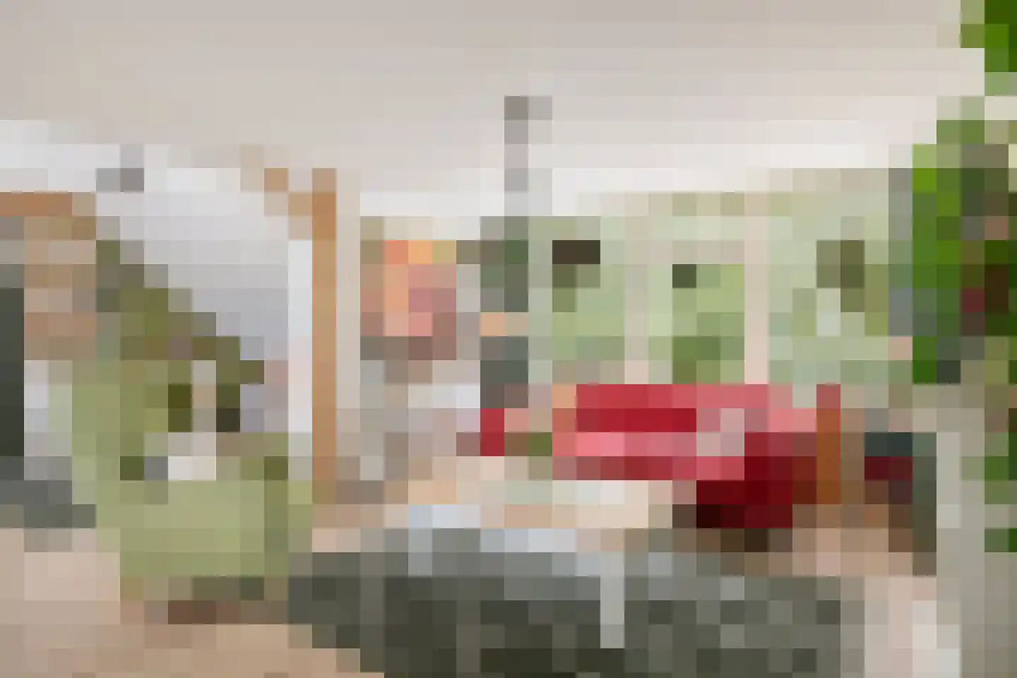 Kloosterweg 19 Noordgouwe thumbnail 22