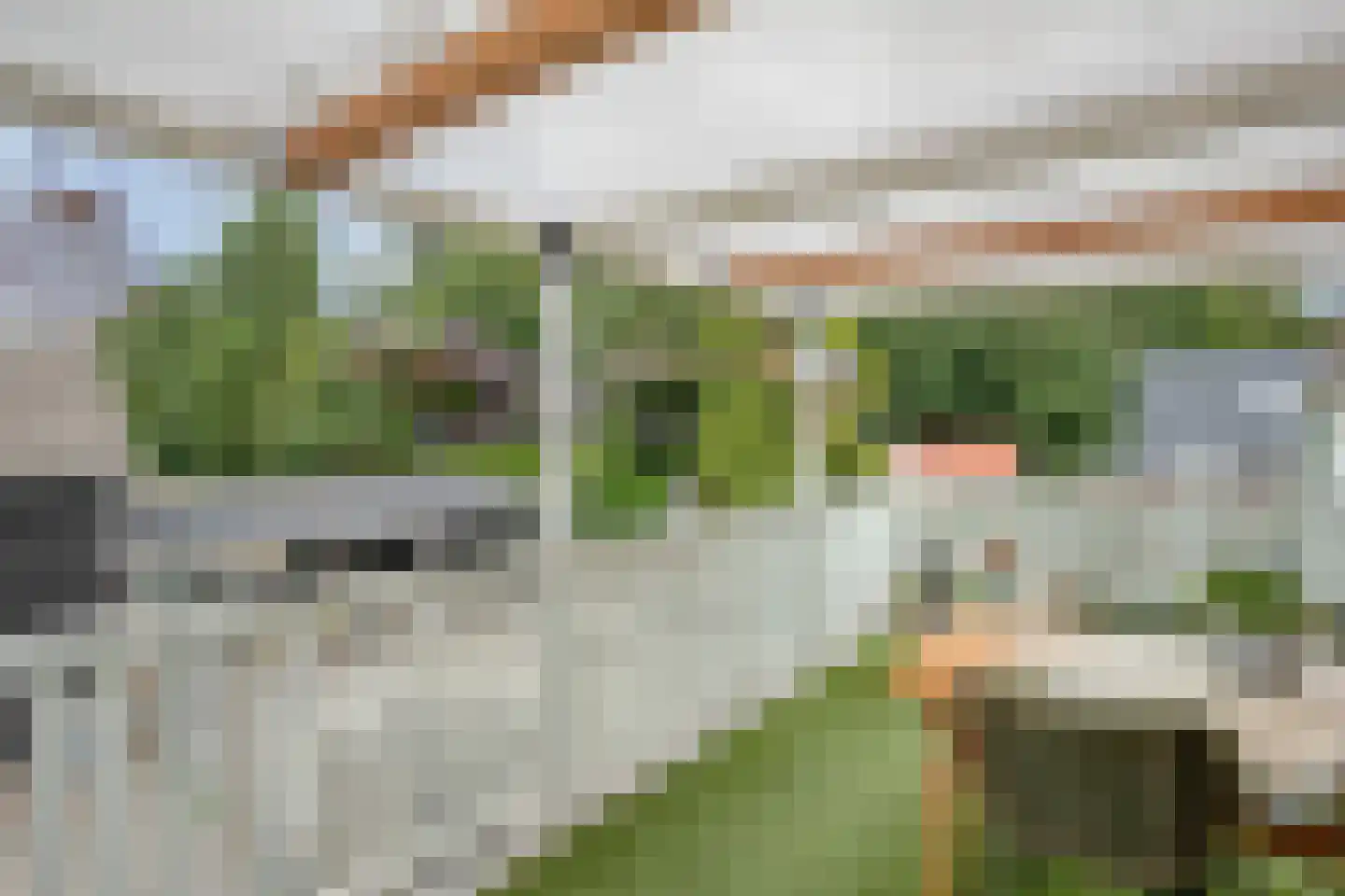 Kloosterweg 19 Noordgouwe thumbnail 25