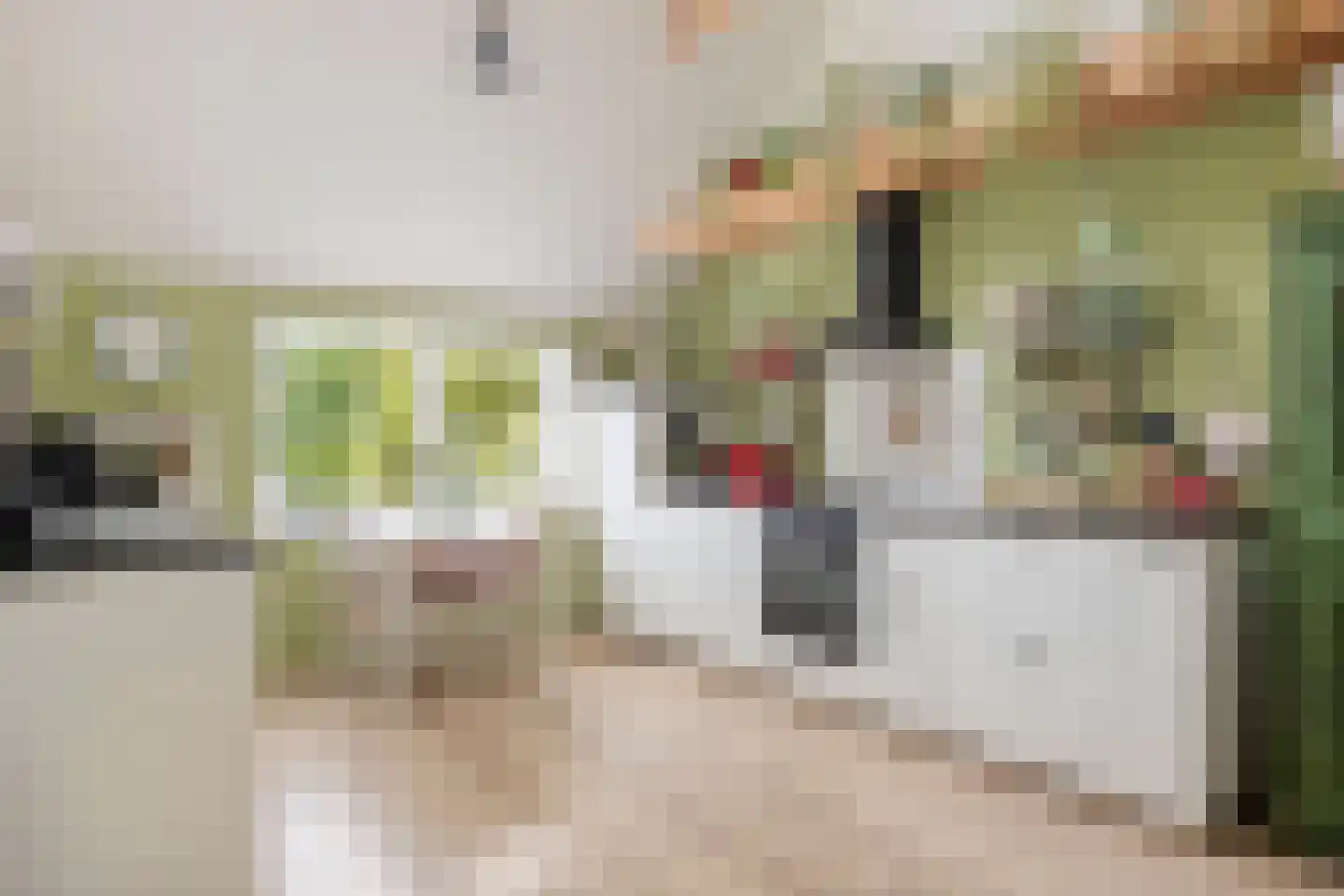 Kloosterweg 19 Noordgouwe thumbnail 29