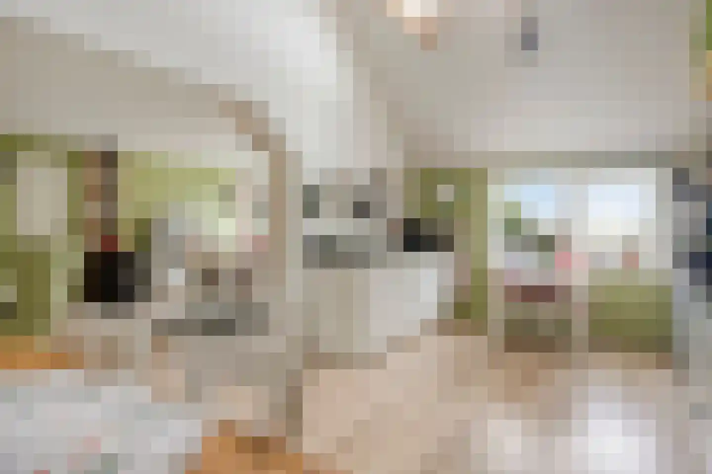 Kloosterweg 19 Noordgouwe thumbnail 30