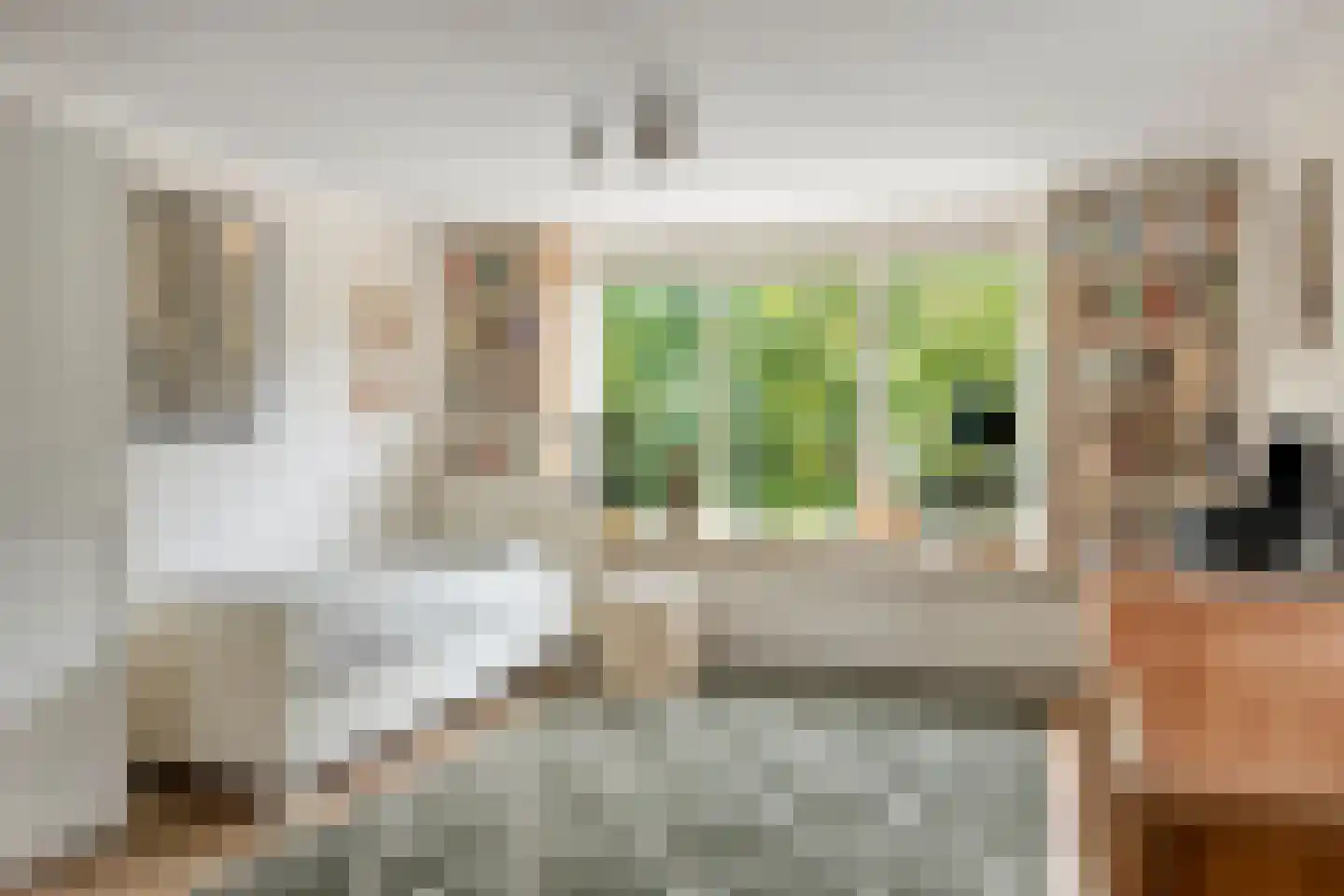 Kloosterweg 19 Noordgouwe thumbnail 31