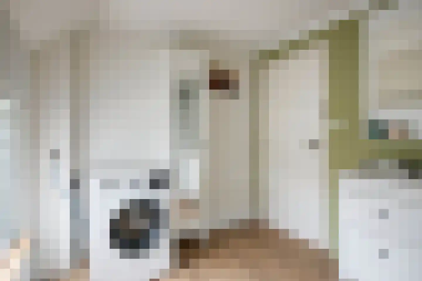 Kloosterweg 19 Noordgouwe thumbnail 34