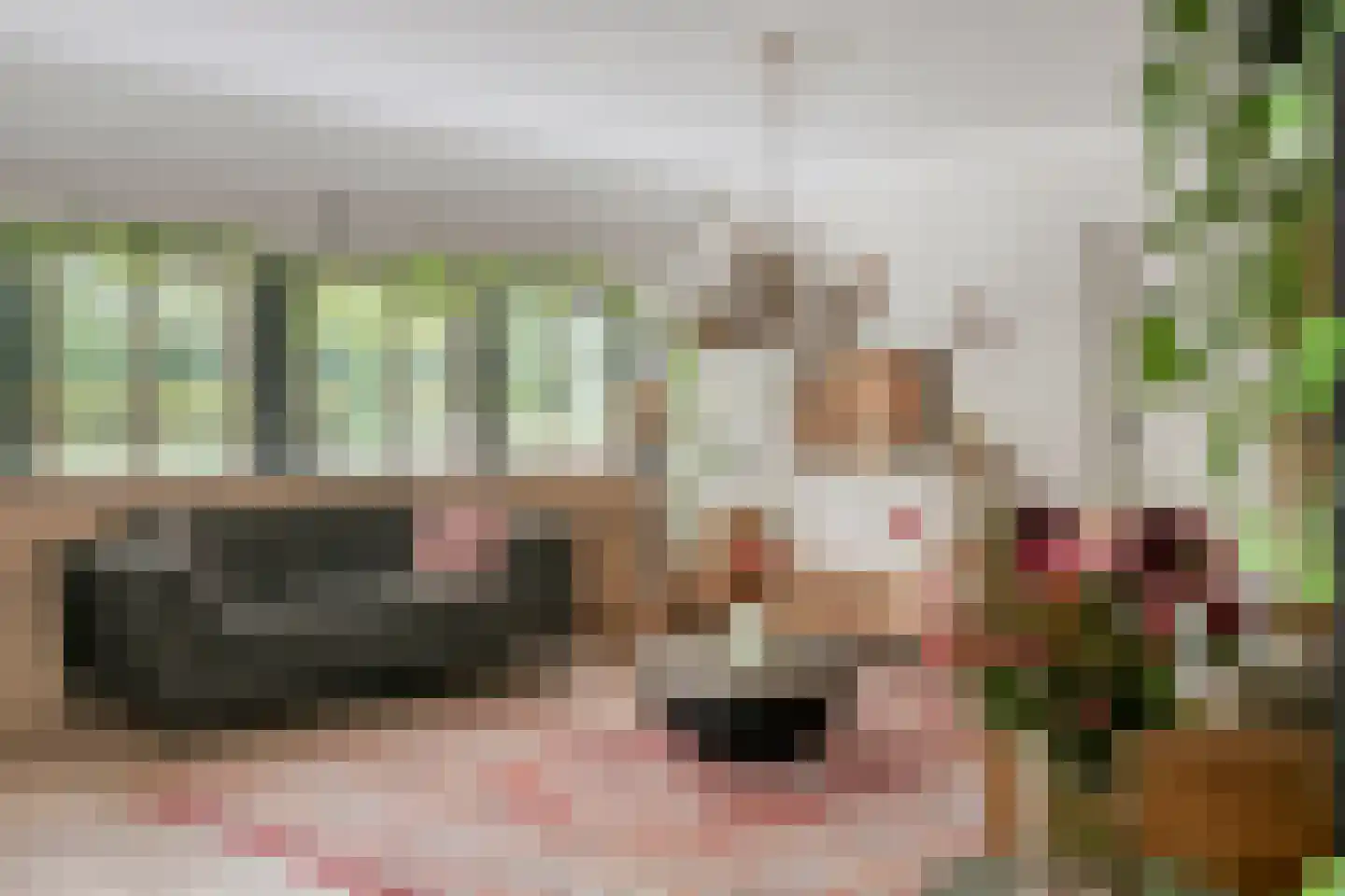 Kloosterweg 19 Noordgouwe thumbnail 5