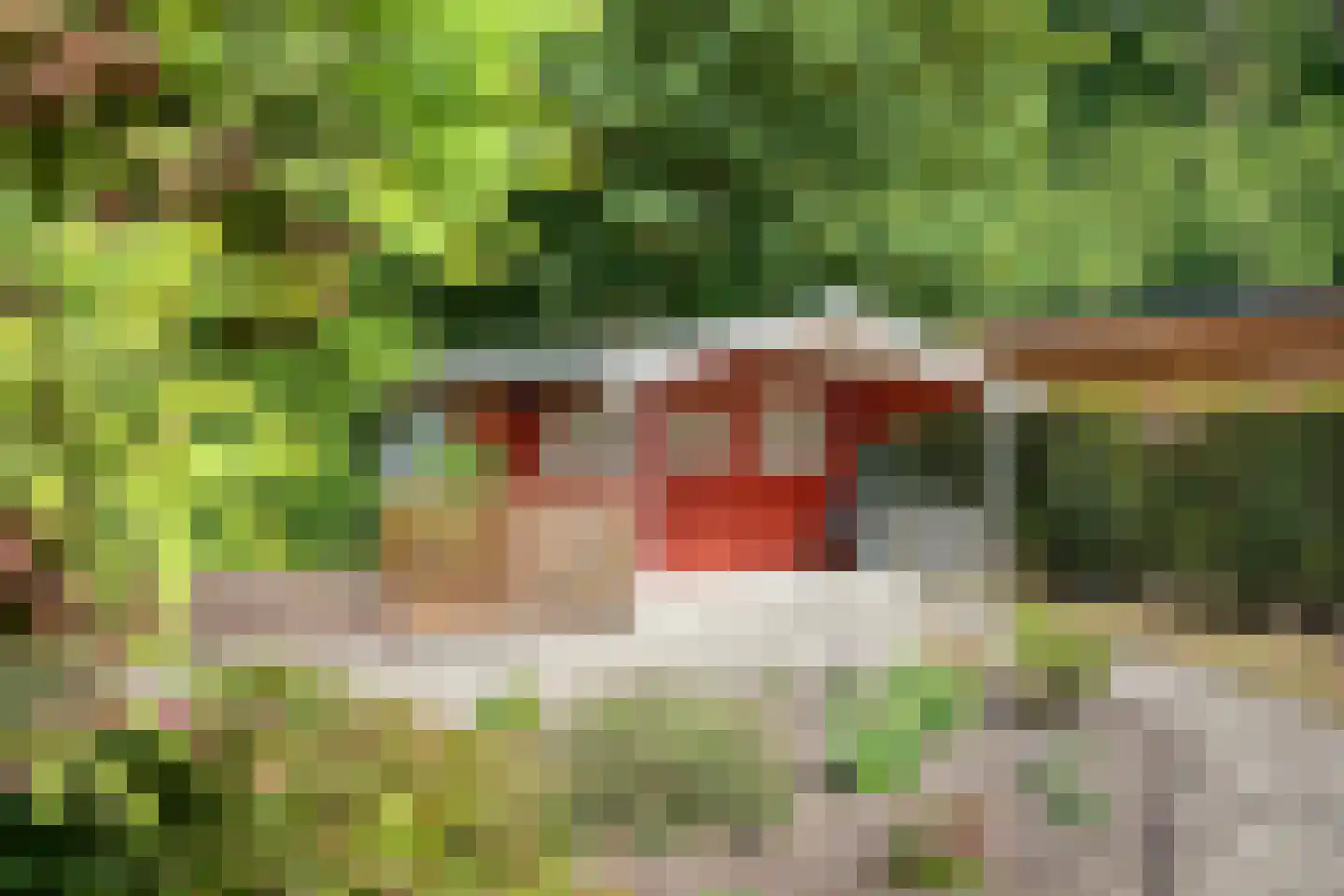 Kloosterweg 19 Noordgouwe thumbnail 51