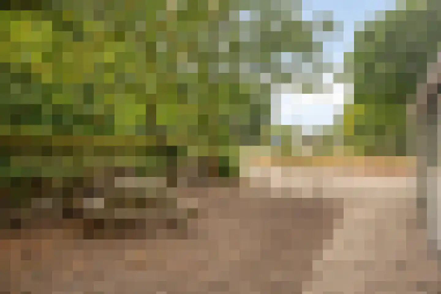 Kloosterweg 19 Noordgouwe thumbnail 55