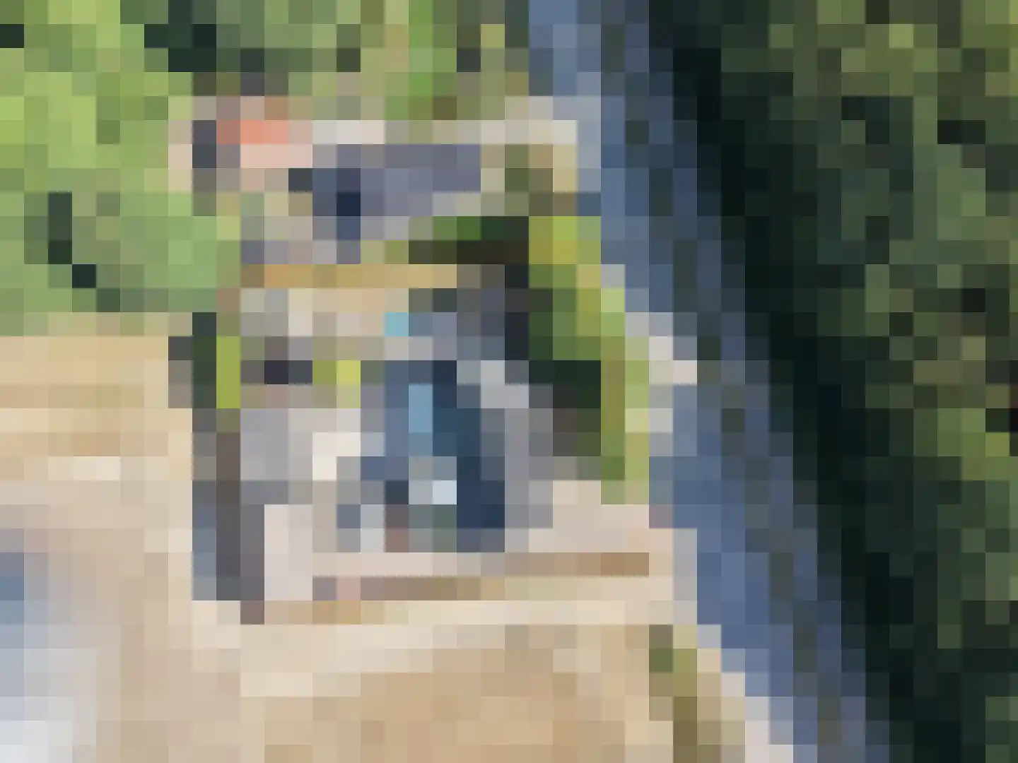 Kloosterweg 19 Noordgouwe thumbnail 56