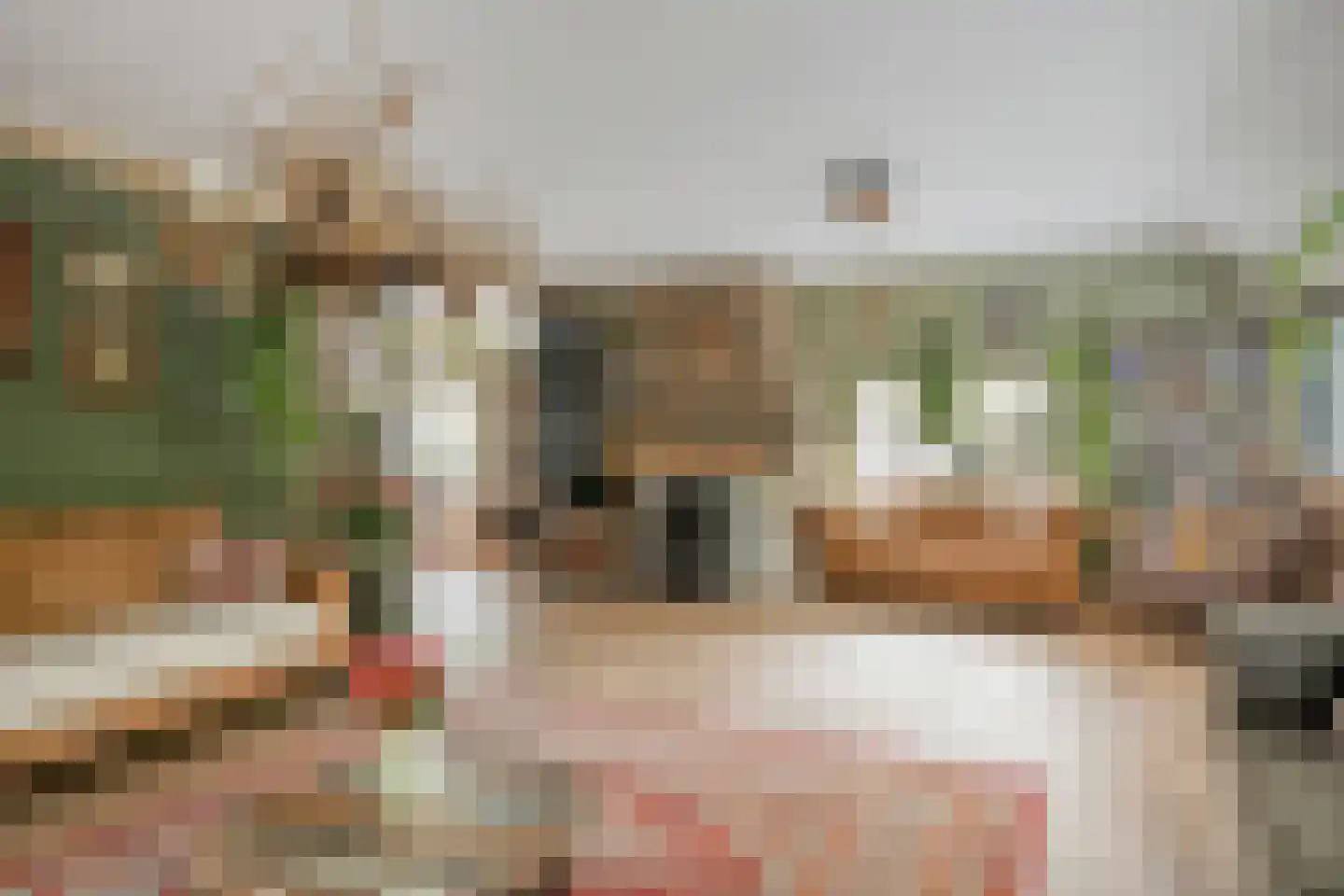 Kloosterweg 19 Noordgouwe thumbnail 7